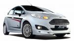 Ford Fiesta Special Edition 2014 года